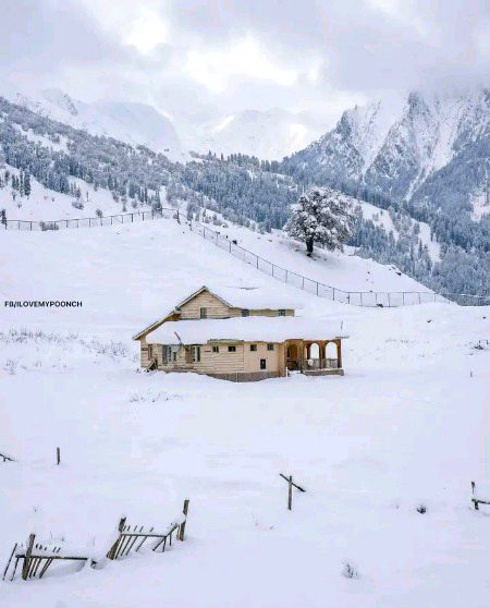 Beautiful Nature image