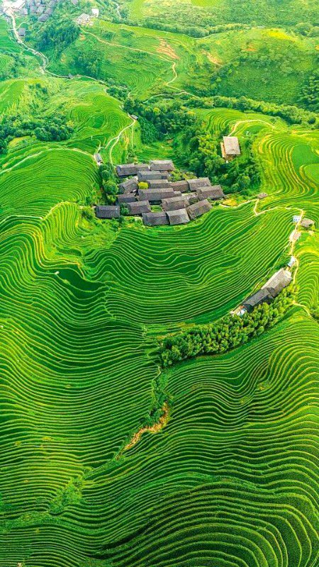 Beautiful Nature image