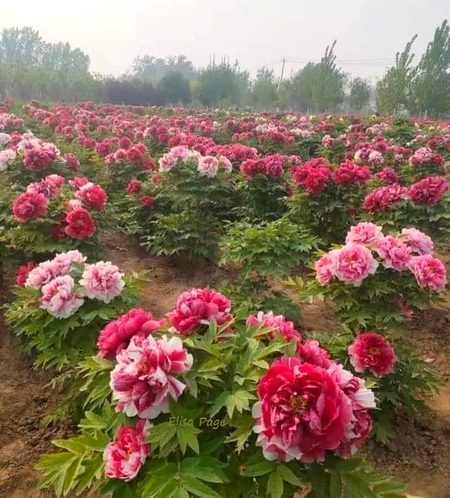 Beautiful Nature image