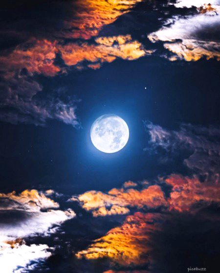 𝑻𝒐 𝒘𝒂𝒍𝒌 𝒊𝒏 𝒏𝒂𝒕𝒖𝒓𝒆 𝒊𝒔 𝒕𝒐 𝒘𝒊𝒕𝒏𝒆𝒔𝒔 𝒂 𝒕𝒉𝒐𝒖𝒔𝒂𝒏𝒅 𝒎𝒊𝒓𝒂𝒄𝒍𝒆𝒔. 🍃🌿👣💚