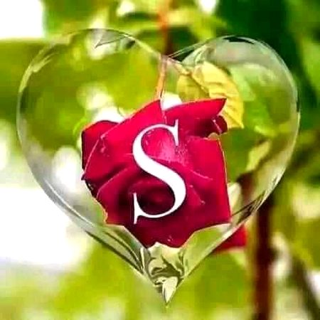 For   you  qabool  kro  plz 👌