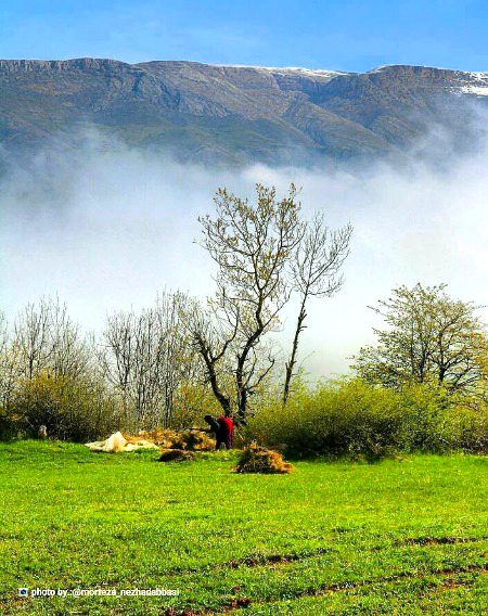 Beautiful Nature image