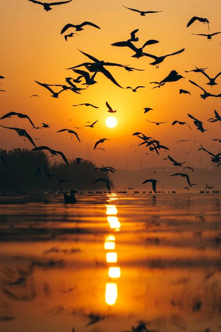 Beautiful Nature image