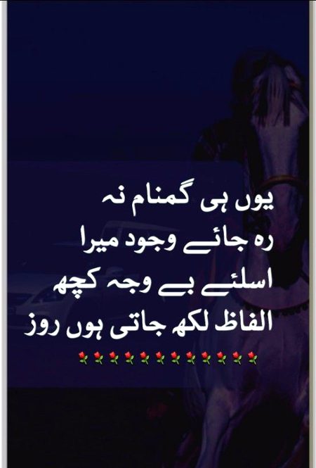 Sad Poetry image
