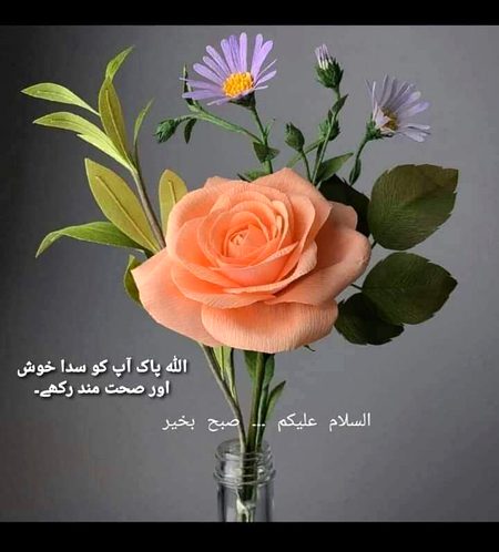 Beautiful Nature image