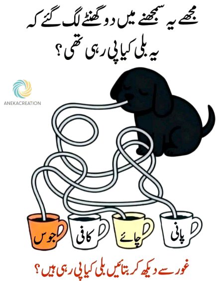 Riddles & Puzzles image