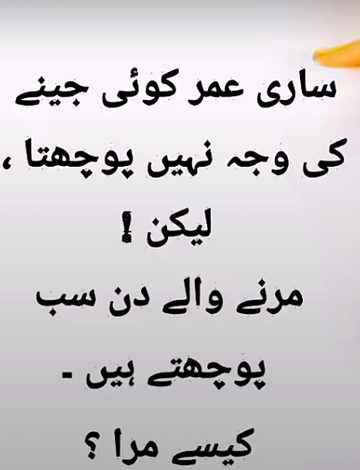 ...NawabZaaDi..