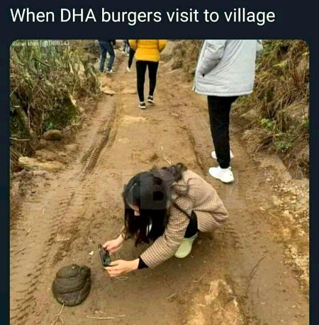 Memes & Satire image