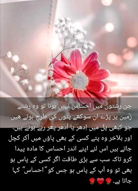Absolutely right