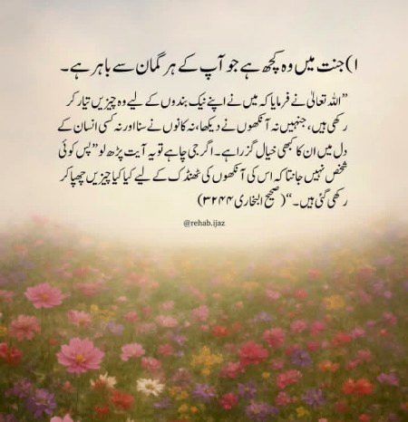 Allah hum sub ko jannat mai Jana naseeb kra ameen ❤️
