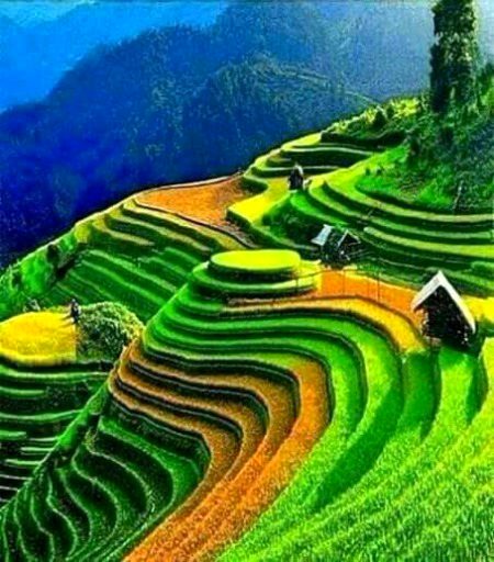 Beautiful Nature image