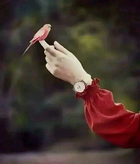 Beautiful Nature image