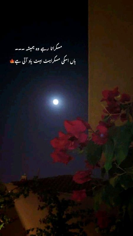 Assalamualaikum 🥰