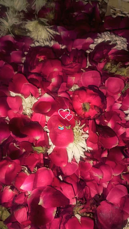 Beautiful Nature image