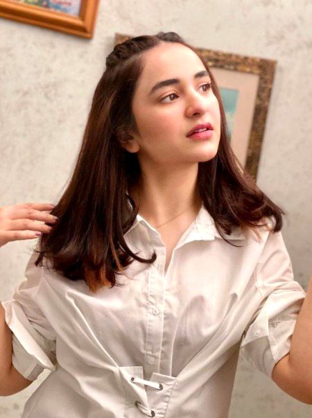 Pakistani Celebs image