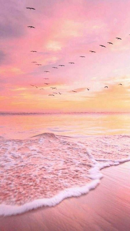 Beautiful Nature image