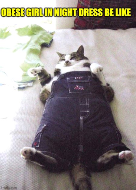 Memes & Satire image