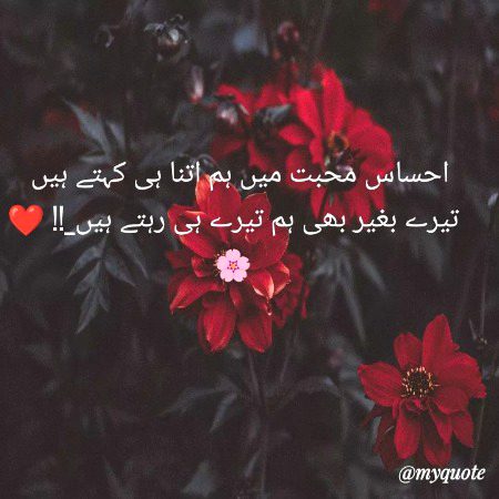 🌹 merijan-16 🌹
Or Marty dam tk traa Sath nh choroga chaye Tum Kuch b kro mery Sath