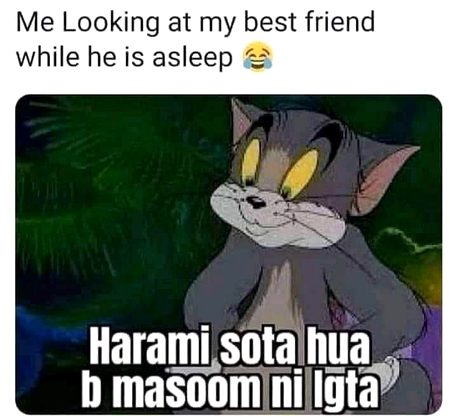 Memes & Satire image