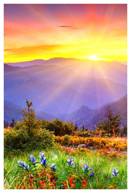 Beautiful Nature image