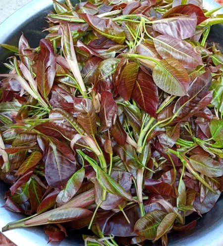 Beautiful Nature image