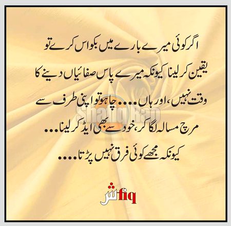 Attitude Quotes image