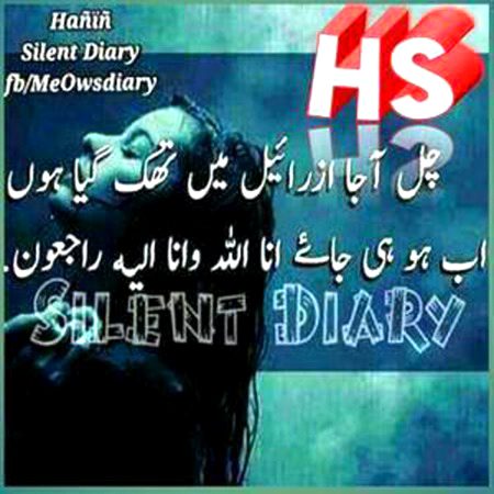 کفن کی گرہ کھول کر میرا دیدار تو کر لو ،
بند ہو گئ وہ آنکھیں جنہیں تم ستایا کرتے تھے___!