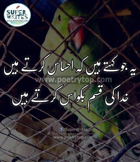 Sad Poetry image