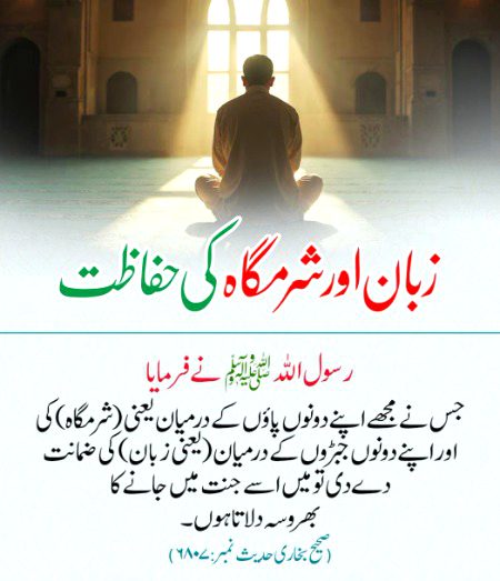 Islamic Quotes image