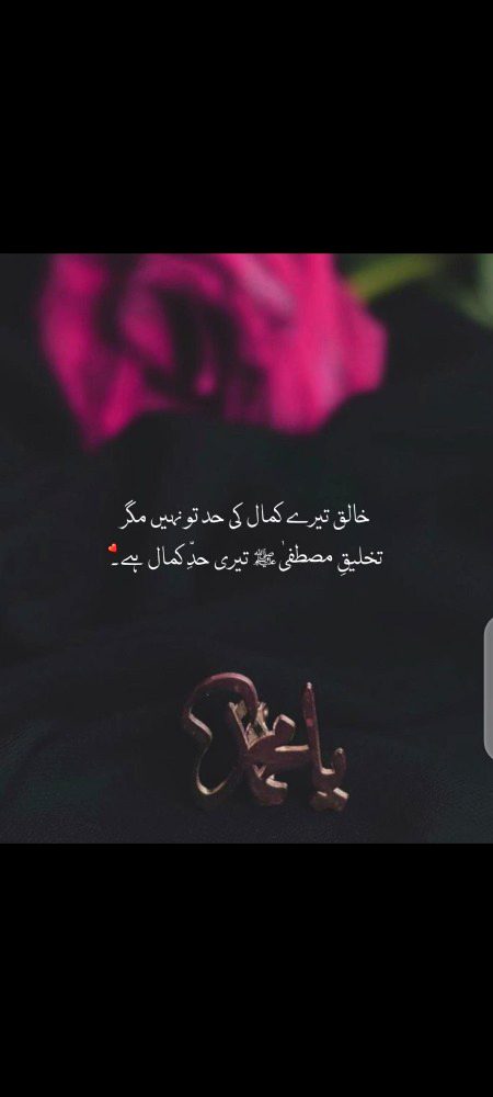 .....❤❤❤❤❤...