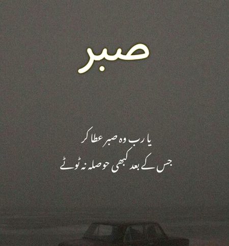 ✨۔💞+💫-🦋.💞.🦋
