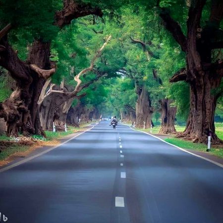Beautiful Nature image