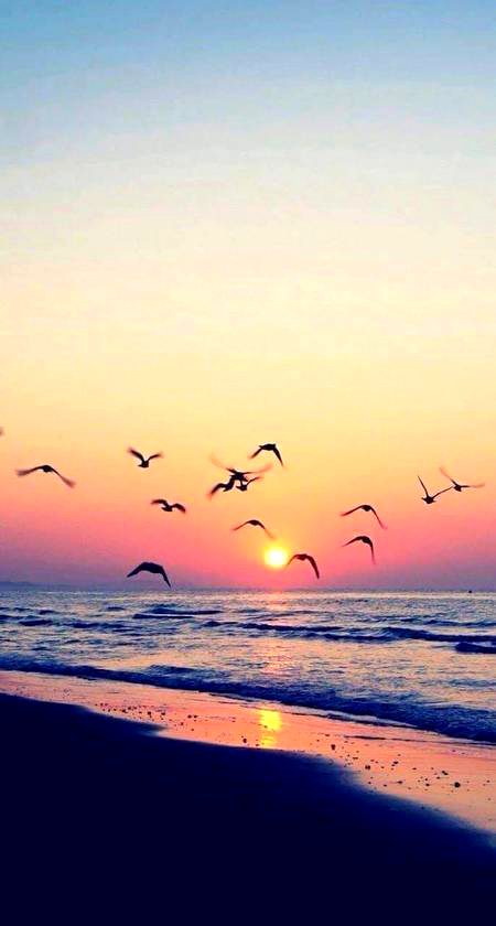 Beautiful Nature image