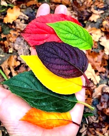 غیر ضروری ”تنقید“وہ تلوار ہے جو سب سے پہلے خوبصورت تعلّقات کا سر قلم کرتی ہے۔۔۔۔