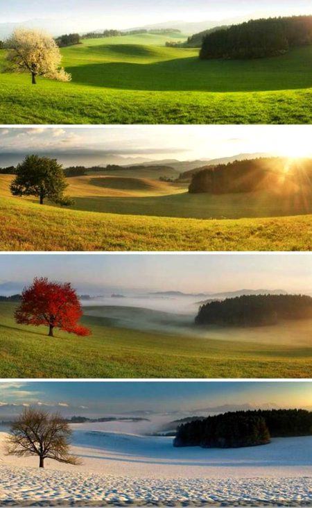 Beautiful Nature image