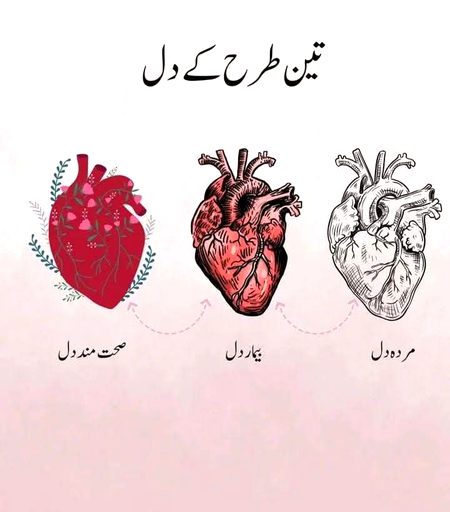 *سب سے حسین دل صابرین کے ہوتے ہیں وہ ٹوٹتے ہیں مگر اللہ پر بھروسہ کرنا کبھی نہیں چھوڑتے* ۔🤍✨