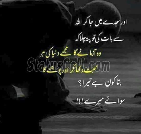 Islamic Quotes image