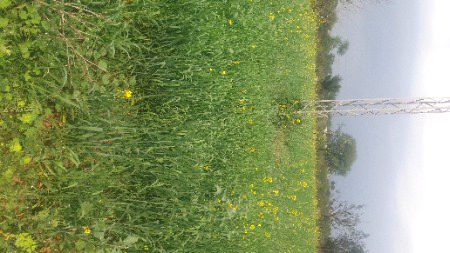 MY  PLACE  liked  pls ❤