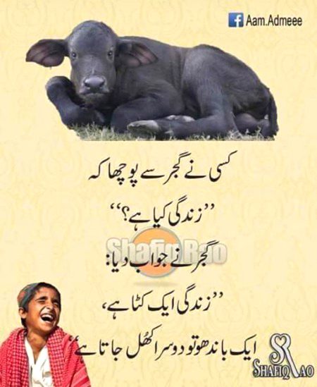 Jokes image