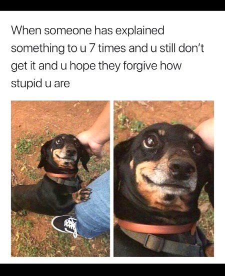 Memes & Satire image