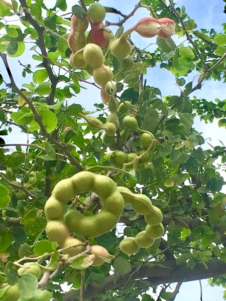 Beautiful Nature image