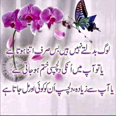 Mehar Zada