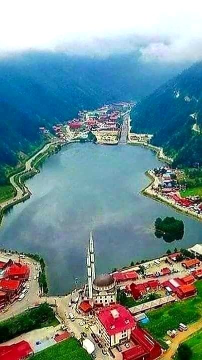 Beautiful Nature image