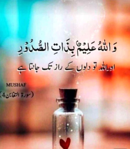 Islamic Quotes image