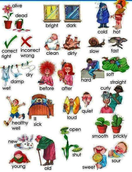 Tips for Students image