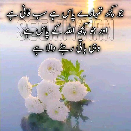 Beshak 🌹🌹
