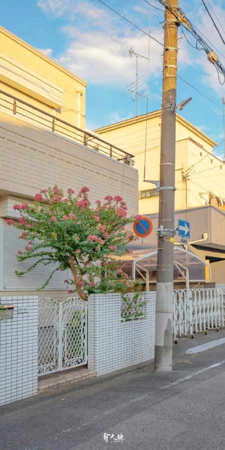 Beautiful Structures image