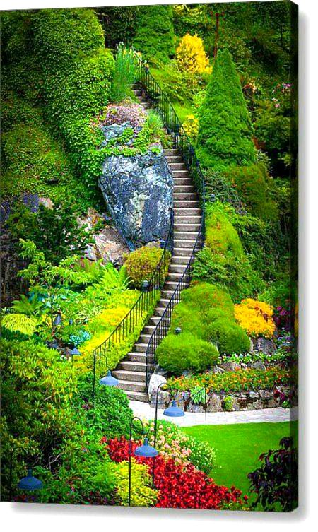 Beautiful Nature image