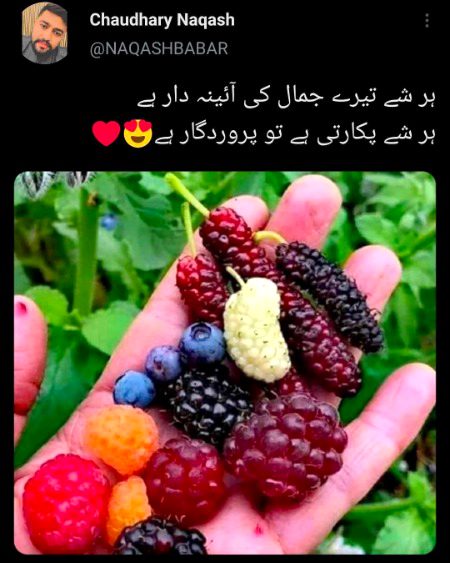 Beautiful Nature image