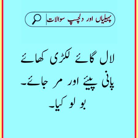 Riddles & Puzzles image